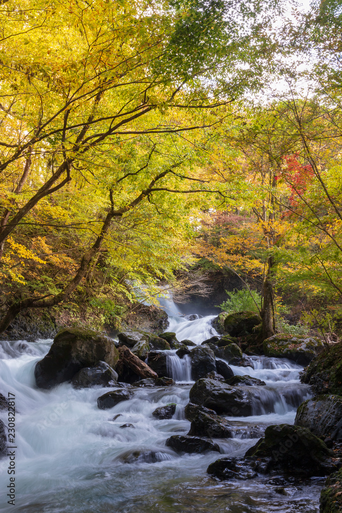 紅葉の忍野村鐘山の滝