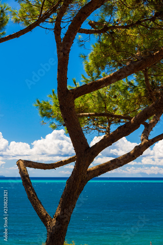 Fototapeta Naklejka Na Ścianę i Meble -  Beautiful sea in a summer day in Italy