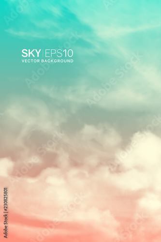 Vertical vector background with realistic pink-blue sky and clouds. The image can be used to design a banner, flyer and postcard.