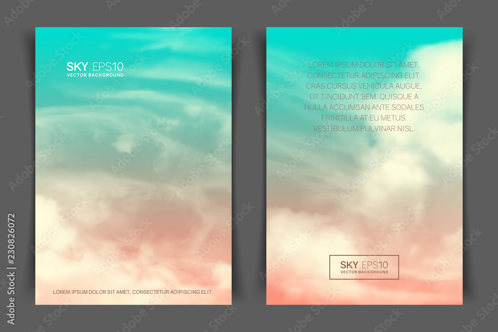 Two-sided vertical flyer of a4 format with realistic pink-blue sky and clouds. The image can be used to design a banner, poster and postcard.
