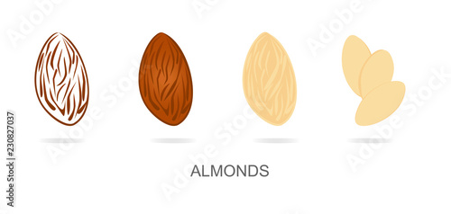 Almonds set vector. Almond walnut peeled and sliced illustration.