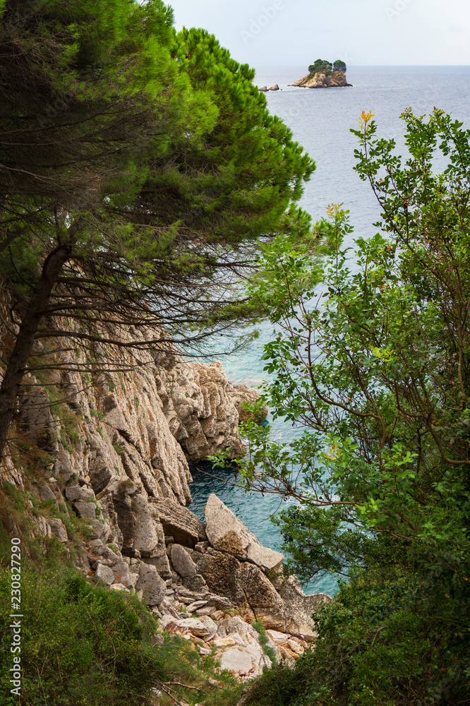 Rocky cliff and pines over turquoise sea