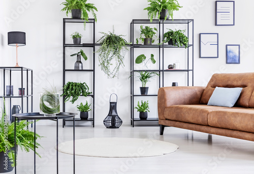 Spacious white living room with urban jungle on black metal shelf and whit big brown leather couch