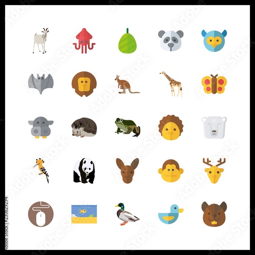 wildlife icon. mouse and kangaroo vector icons in wildlife set. Use this illustration for wildlife works.