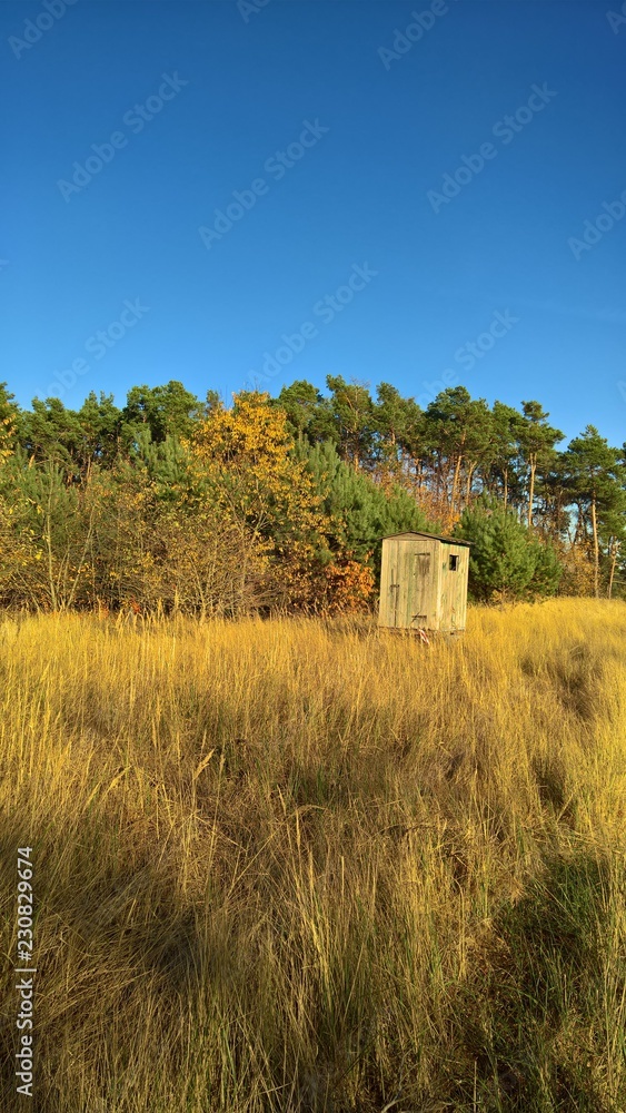 Obraz premium Herbst Jagd