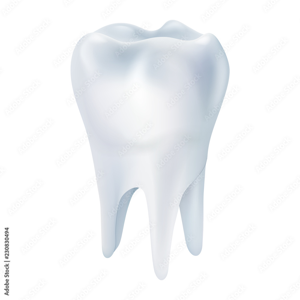 Realistic tooth poster. Illustrations isolated on white background. Graphic concept for your design Realistic tooth poster. Illustrations isolated on white background. Graphic concept for your design
