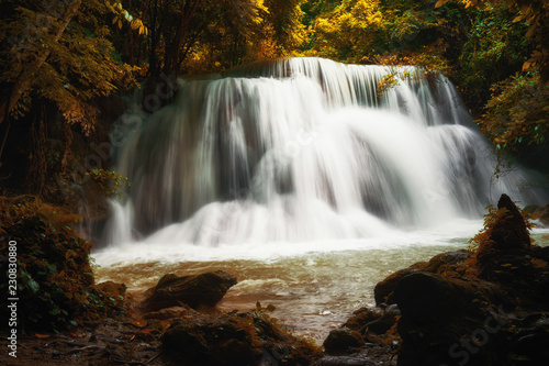 waterfall in autumn season and yellow leaf tree