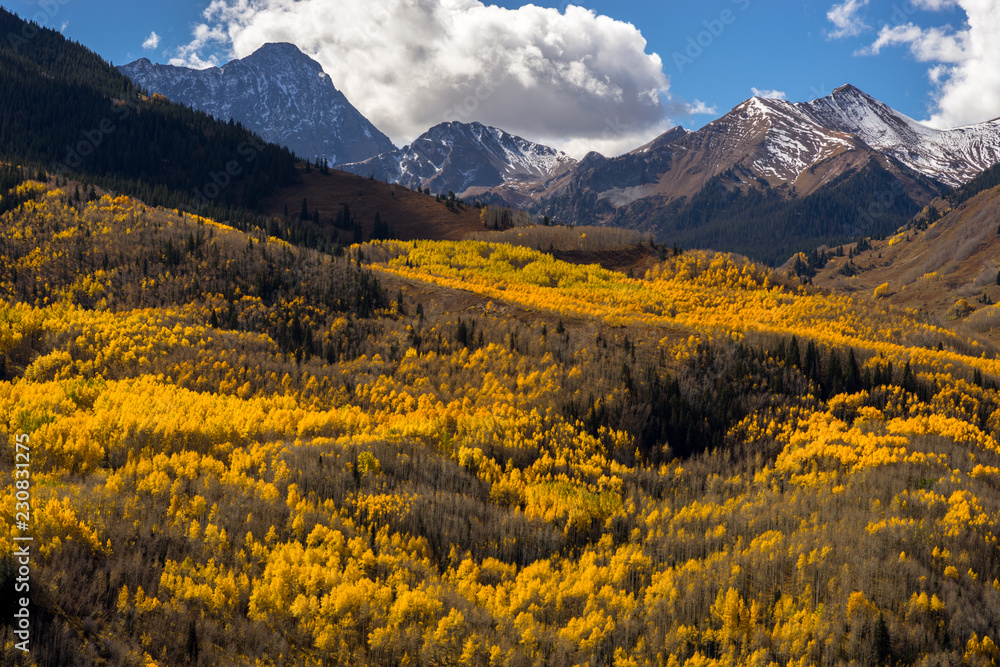Capitol Peak, a treacherous mountain in the Colorado Rockies, covered in snow and draped in beautiful Fall/Autumn yellow Aspen trees.  Near Aspen Colorado, USA