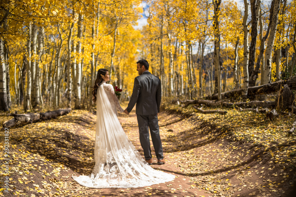Wedding/engagement photography - Beautiful Asian/Vietnamese bride in wedding dress with caucasian groom in the beautiful fall/autumn yellow leaves. Colorado Rocky Mountains. Aspen, Colorado. USA