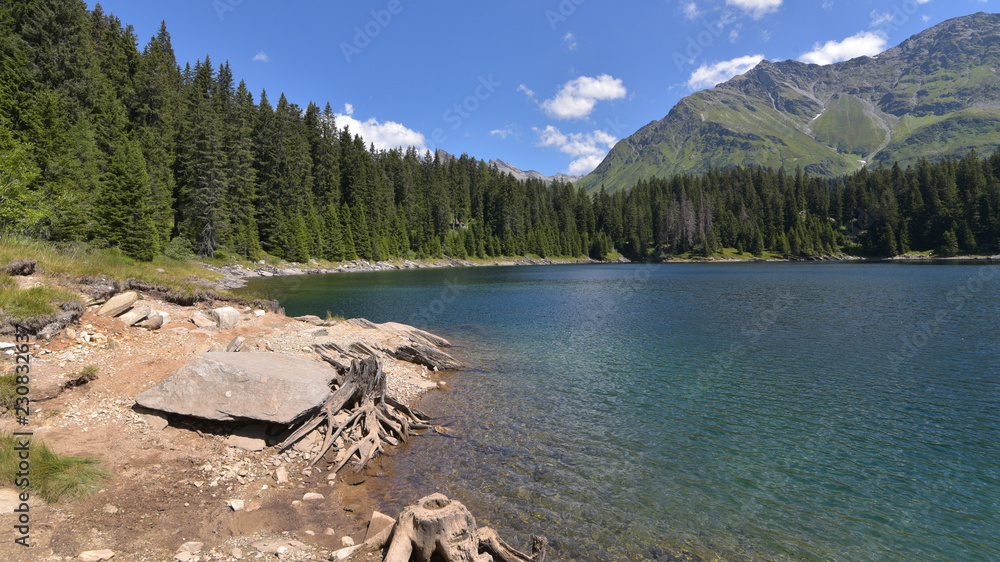 lago di alta montagna circondato da abeti