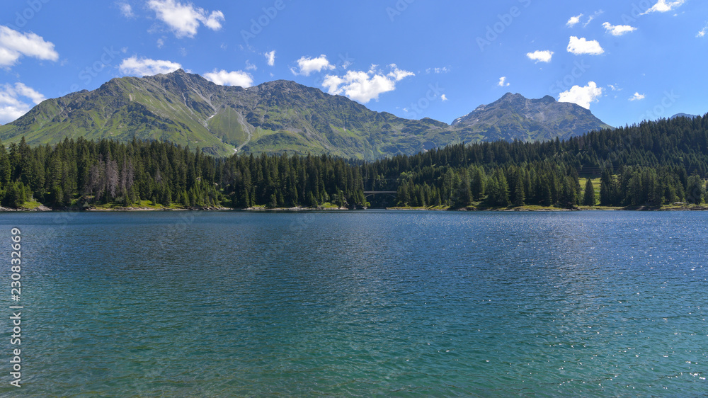 Lago di montagna, circondato da abeti e pini verdi, in estate