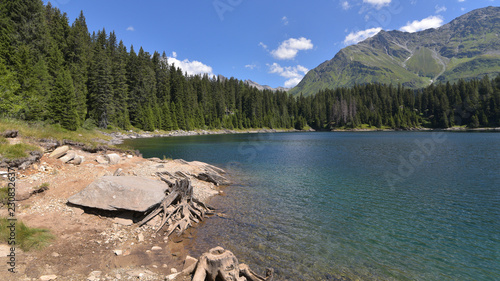 Obraz na płótnie lago di alta montagna circondato da abeti w salonie