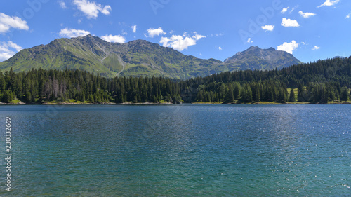 Lago di montagna, circondato da abeti e pini verdi, in estate