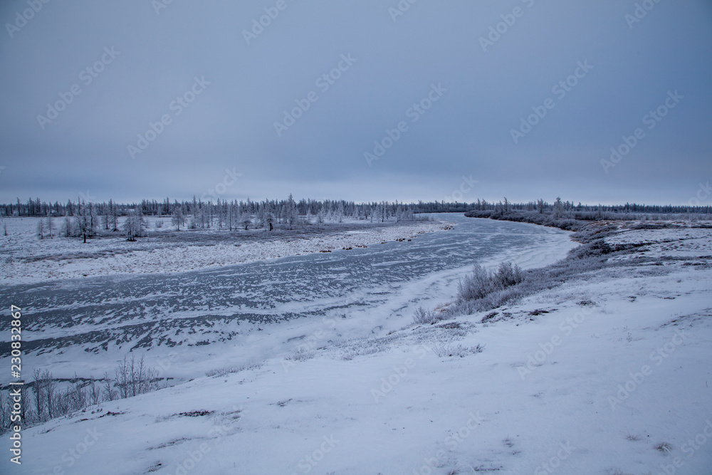 Beautiful winter landscape, frost on the branches of trees, the first snow, Beautiful winter landscape, frost on the branches of trees, the first snow,