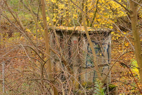 Concrete construction in the forest