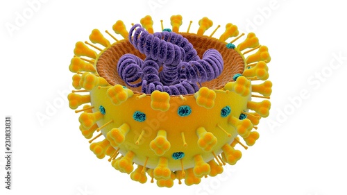 Virus dell’influenza, virus a RNA, vista al microscopio. L’influenza è una malattia infettiva respiratoria acuta. Sintomi di mal di gola, naso che cola, dolori muscolari  photo