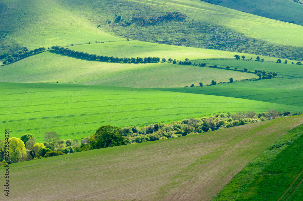 Light playing across fiields of Rapeseed on the South Downs, close to Lewes