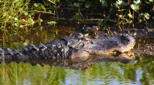 Mom and Baby