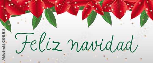 Feliz Navidad lettering with poinsettia leaves. New Year Day greeting card. Handwritten text, calligraphy. For leaflets, brochures, invitations, posters or banners.