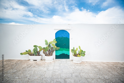 kolorowe drzwi w białym murze, na tle nieba z kaktusami opuncjami