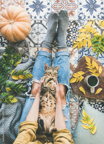 Autumn or Fall balcony tea time. Flat-lay of female sitting on colorful tiled floor with tiger colored cat, fallen leaves, warm blanket, pumpkin and cup of herbal tea, top view. Autumn mood concept