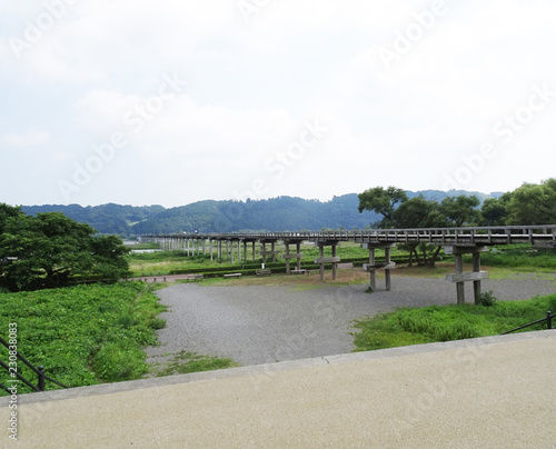 Wallpaper Mural 蓬莱橋 静岡県 島田市 Torontodigital.ca