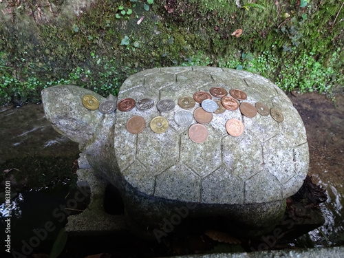 亀の石像 島根県 松江市 美保神社