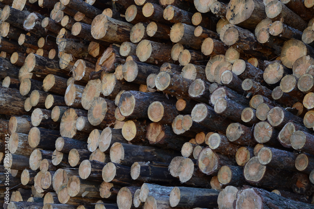 Pine logs stacked, firewood. Pine logs stacked, firewood.