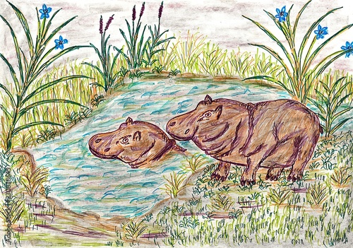 Hand drawn multicolor illustration with nature theme (hippopotamuses in nature) - scan