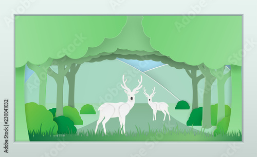 Vector nature and forest where the deer and wild animals live.And the plentiful world .