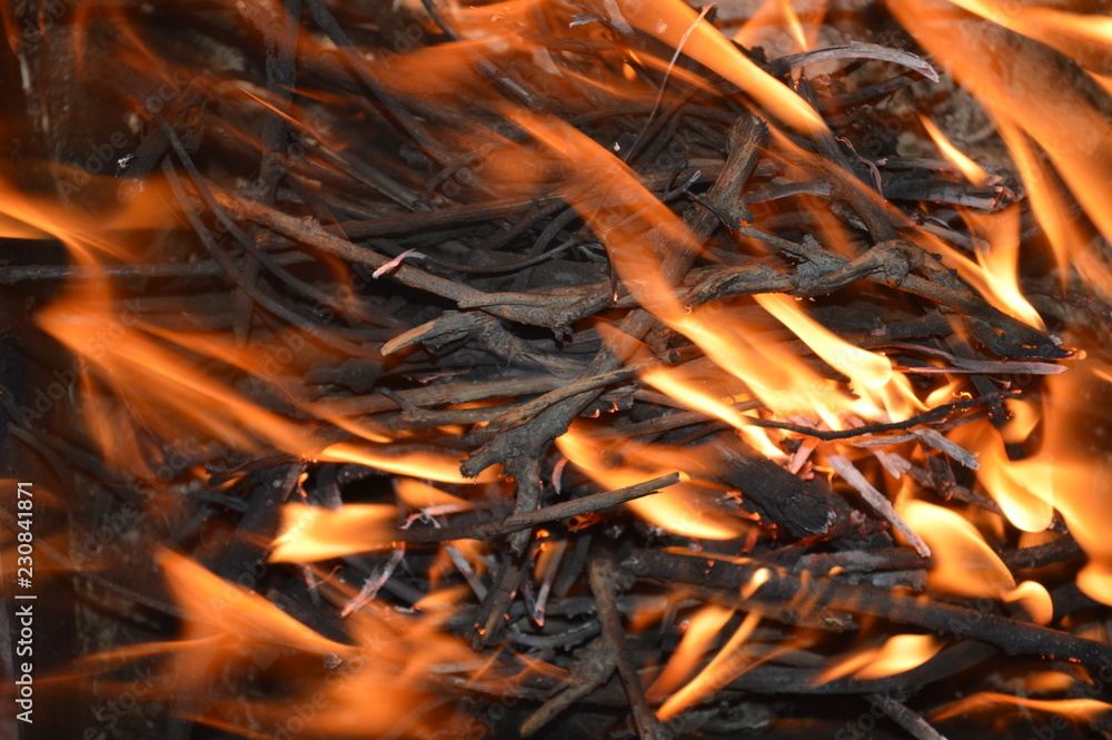 Fire, burn bush Fire, burn bush