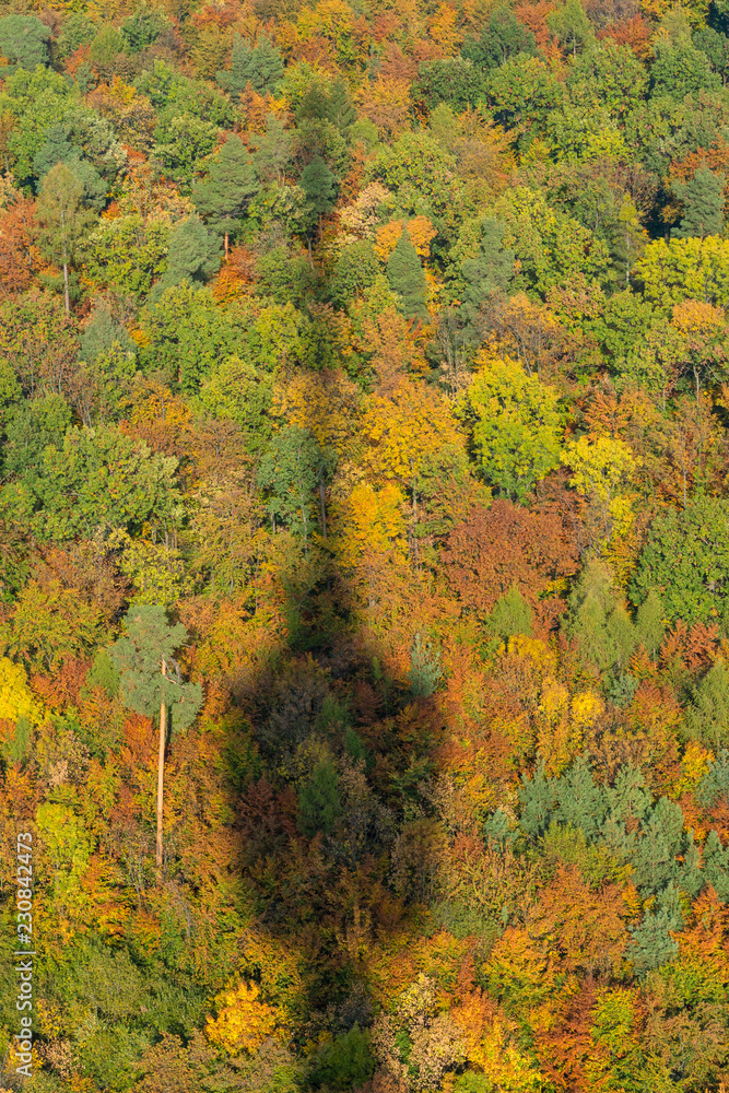 Schatten des Stuttgarter Fernsehturmes im Herbstwald Schatten des Stuttgarter Fernsehturmes im Herbstwald
