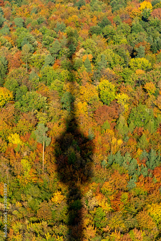 Schatten des Stuttgarter Fernsehturmes im Herbstwald Schatten des Stuttgarter Fernsehturmes im Herbstwald