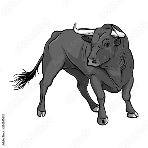 Black Buffalo on a white background. Vector illustration