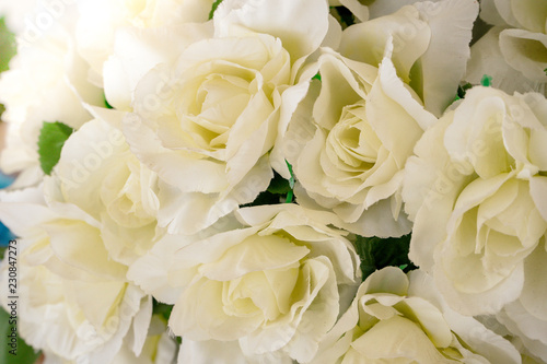  White roses background