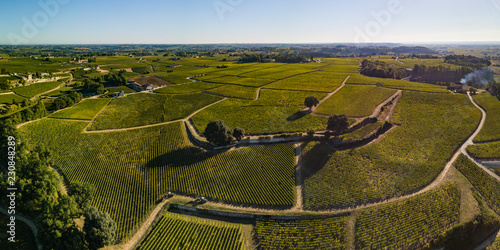 Aerial View, Bordeaux vineyards, Saint-Emilion, Aquitaine area of the Gironde department, France photo