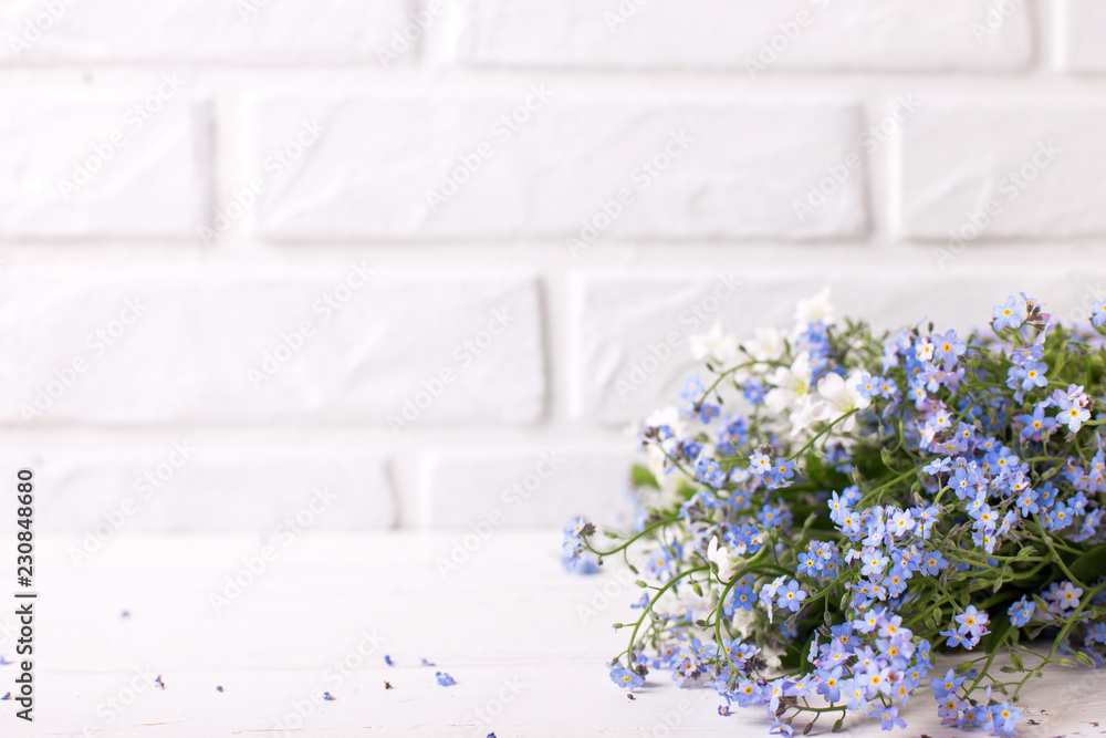 Bunch from fresh blue forget-me-nots or myosotis flowers against  white brick wall.