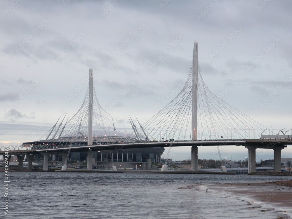 Obraz premium big cable-stayed bridge on the river