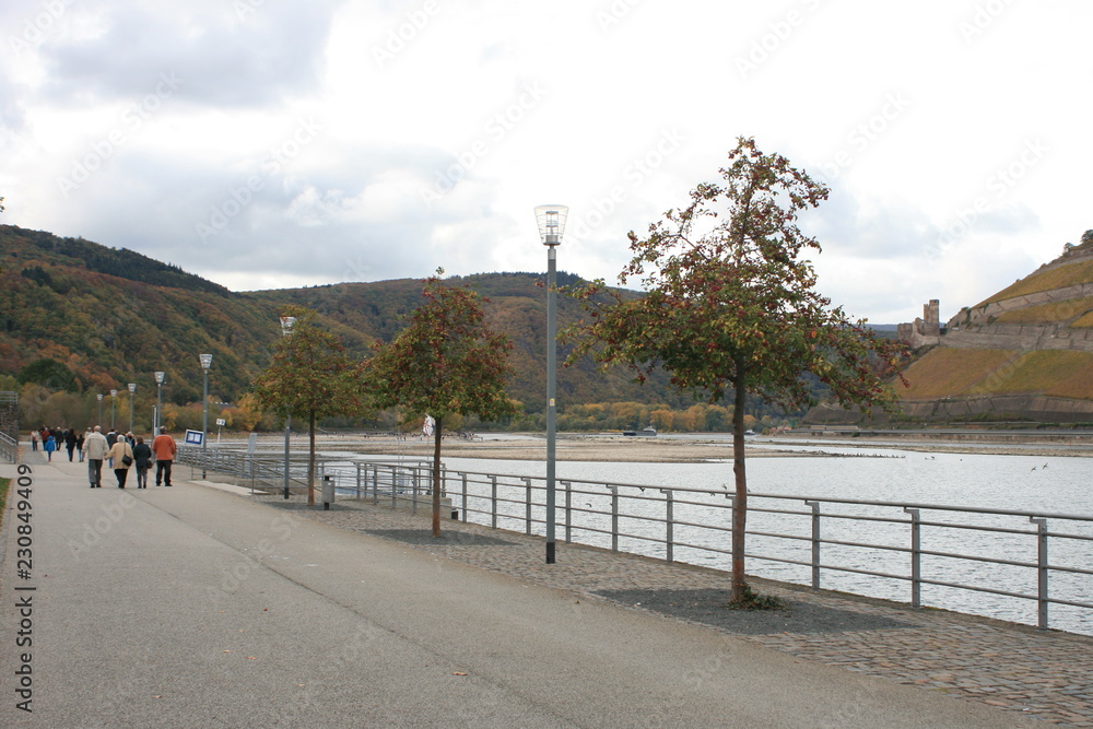 Promenade am Rhein