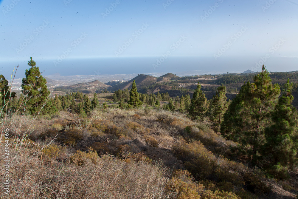 На острове Тенерифе/On the island of Tenerife На острове Тенерифе/On the island of Tenerife