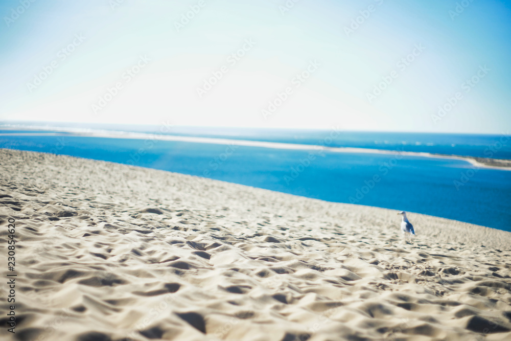 Obraz premium Dune du pilat