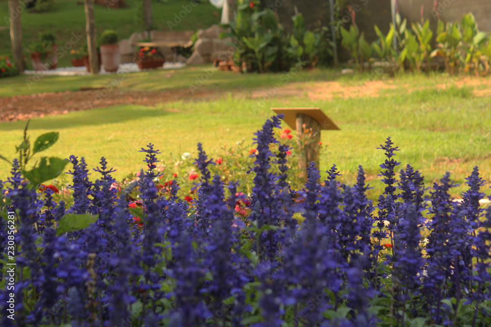 Martinho di ciero clearance itu