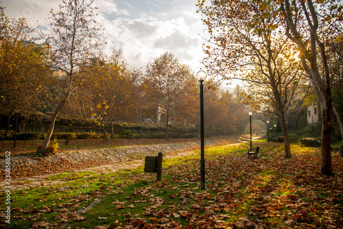 autumn in the park, Bursa Gokdere, Turkey photo