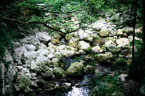 Savica waterfall at Bohinj ...