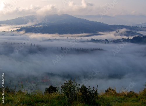Wallpaper Mural birth of day Torontodigital.ca