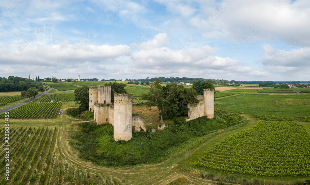 Vu aérienne du chateau medieval de Budos en aquitaine au milieu des vignes