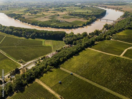 Aerial view Bordeaux Vineyard at sunrise, Entre deux mers, Langoiran, Gironde photo