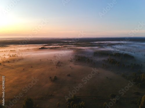Fototapeta Naklejka Na Ścianę i Meble -  Forest in the fog from the heights at dawn