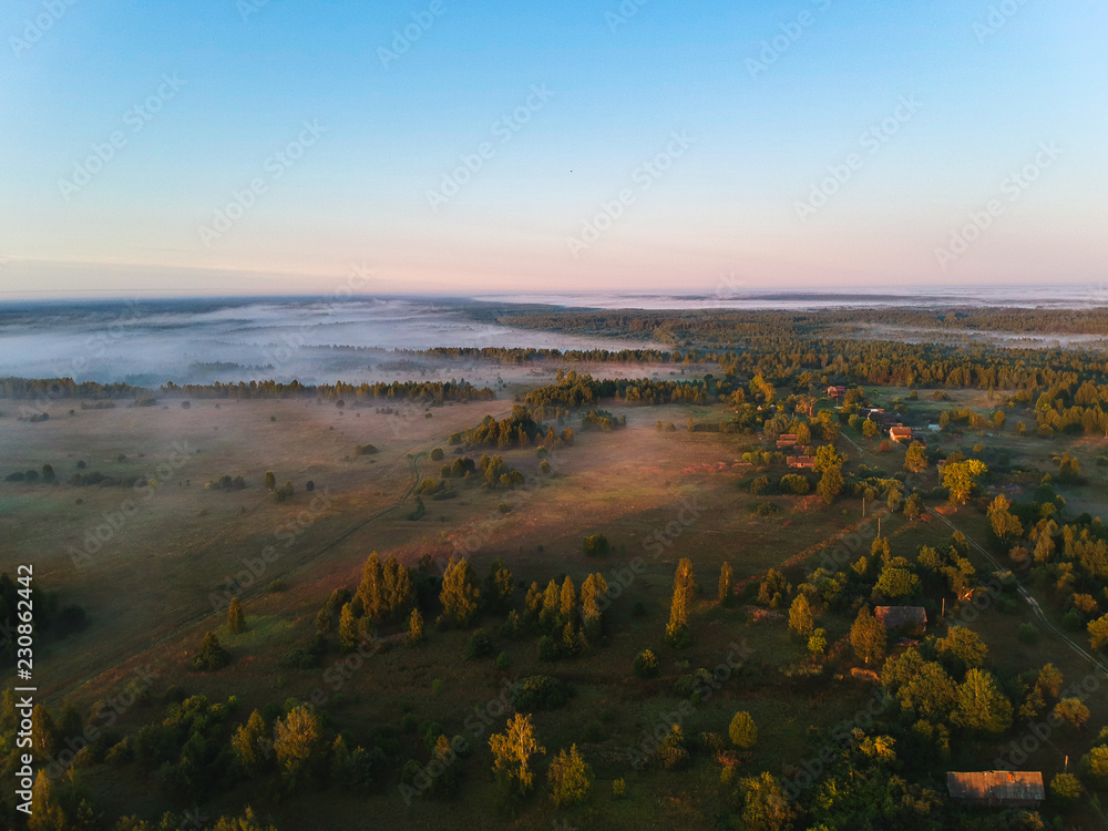 Obraz premium Forest in the fog from the heights at dawn