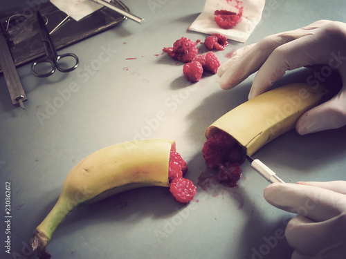 Quadro em tela Food autopsy